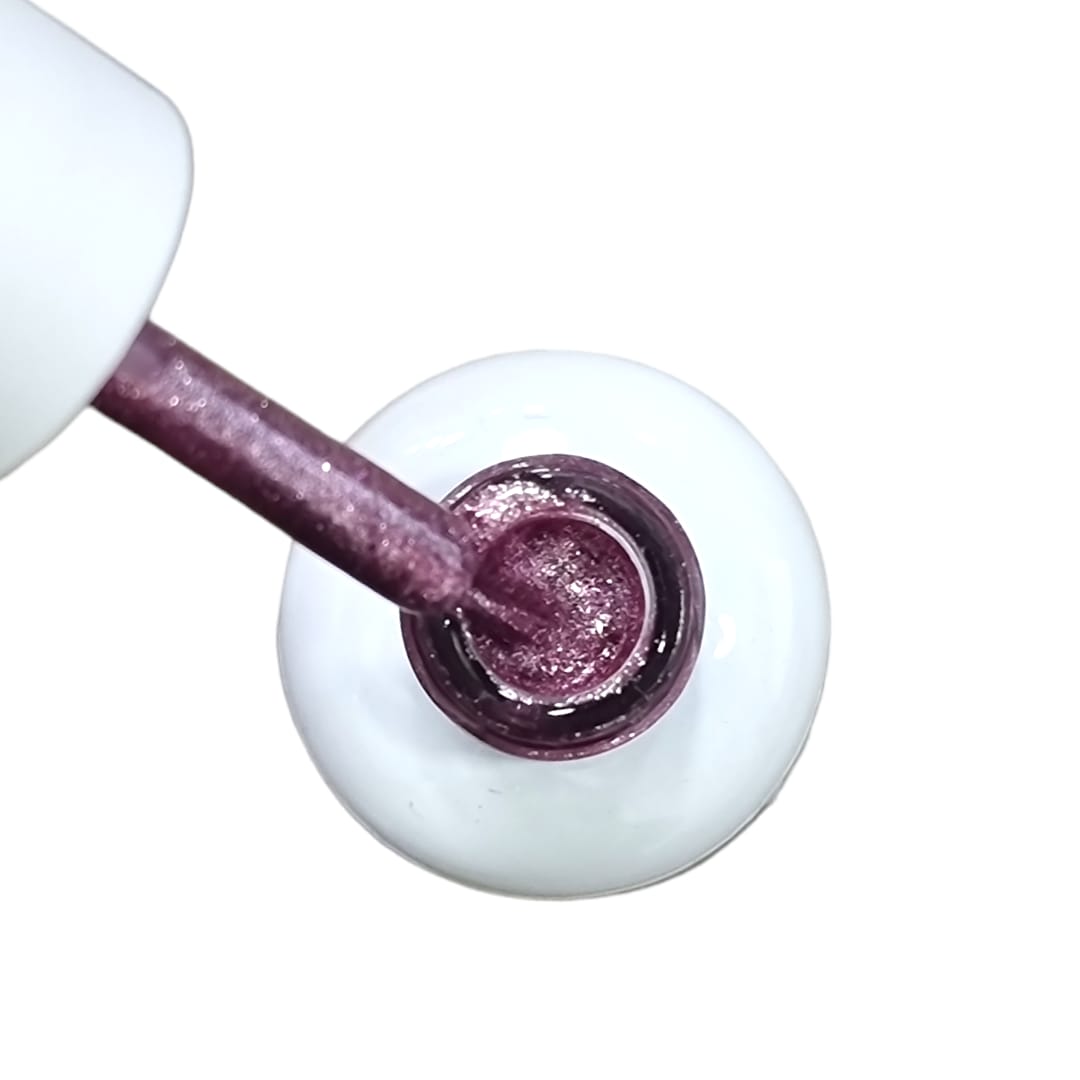 BSNAILS Gel Paint Liner en botella 20 10gr2