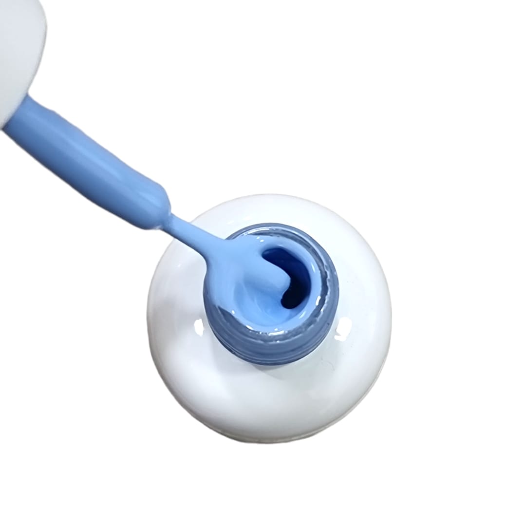 BSNAILS Gel Paint Liner en botella 24 10gr2