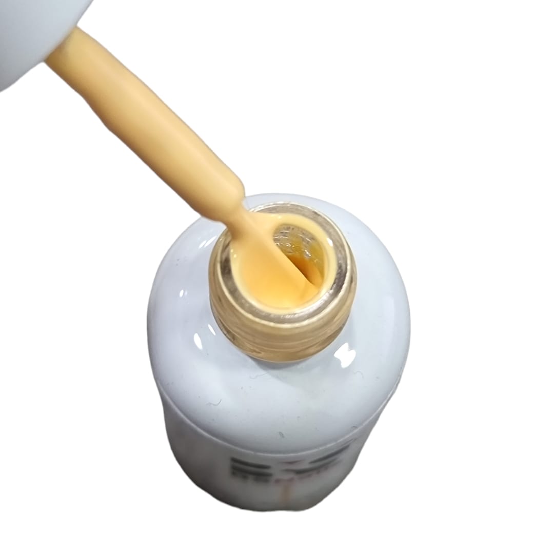 BSNAILS Gel Paint Liner en botella 25 10gr2