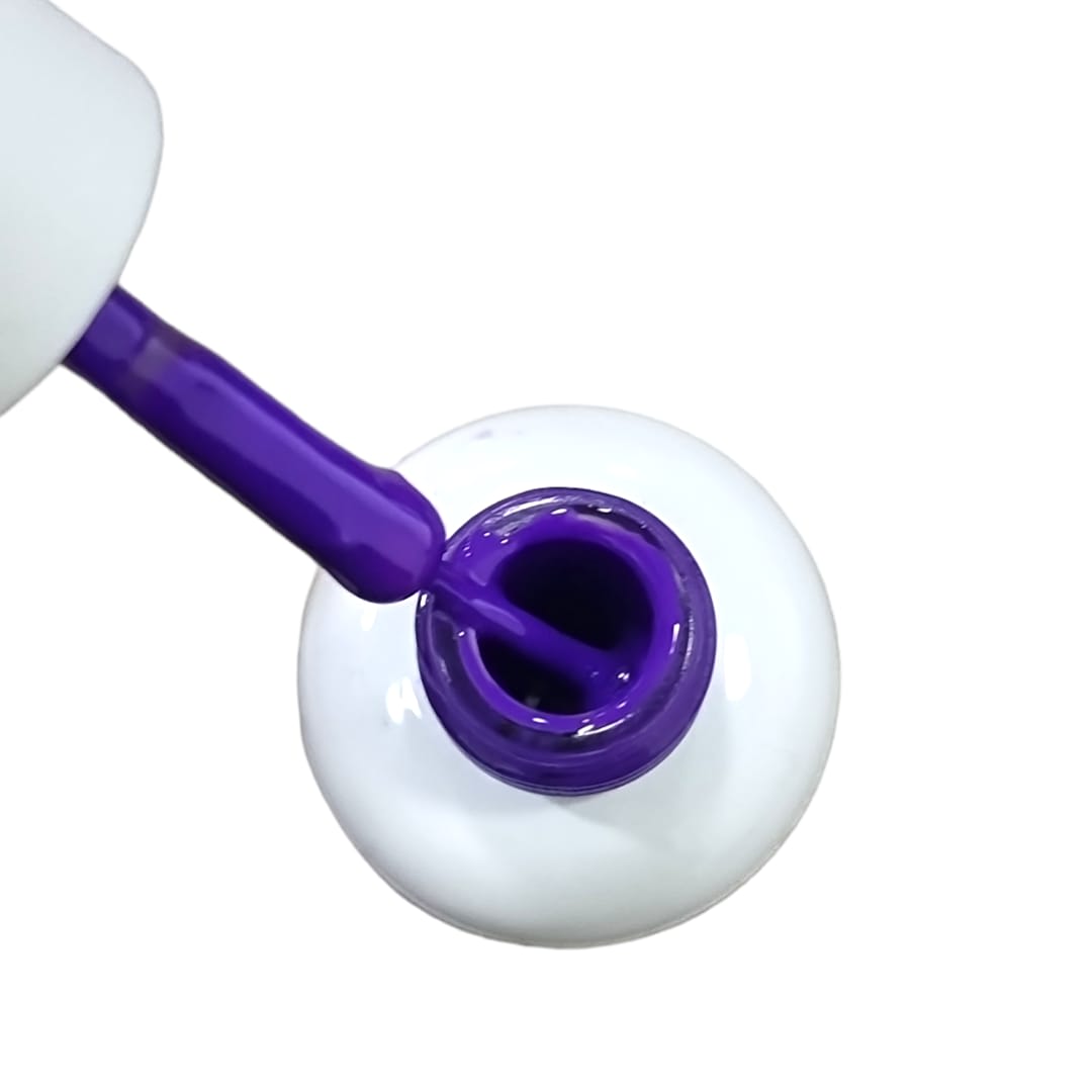 BSNAILS Gel Paint Liner en botella 29 10gr2