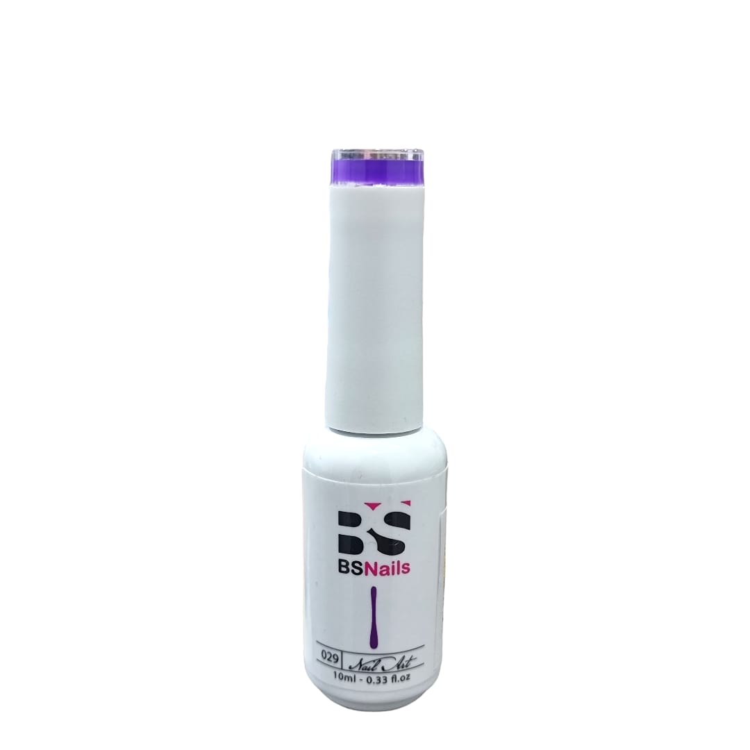 BSNAILS Gel Paint Liner en botella 29 10gr 0