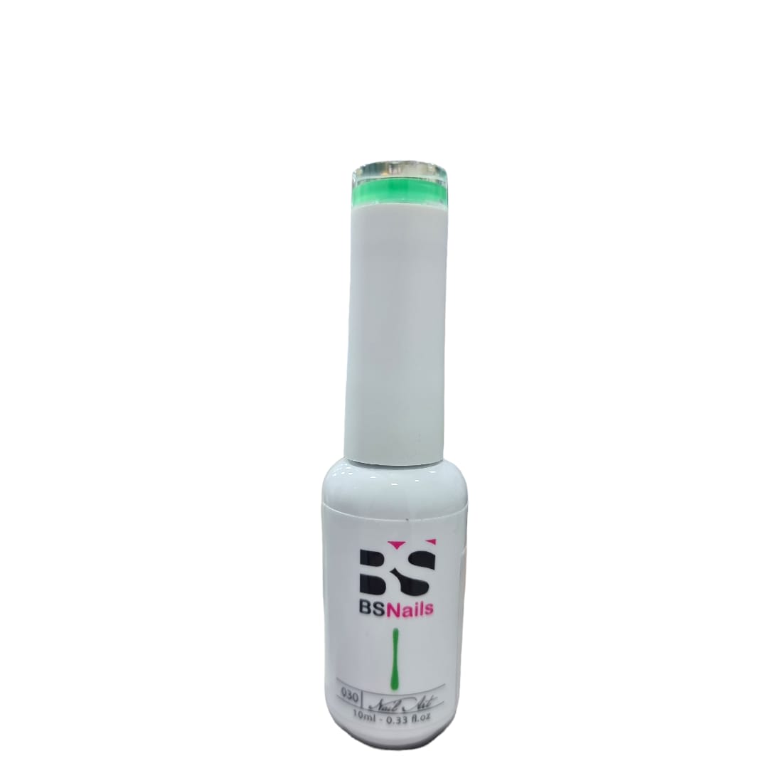 BSNAILS Gel Paint Liner en botella 30 10gr 0