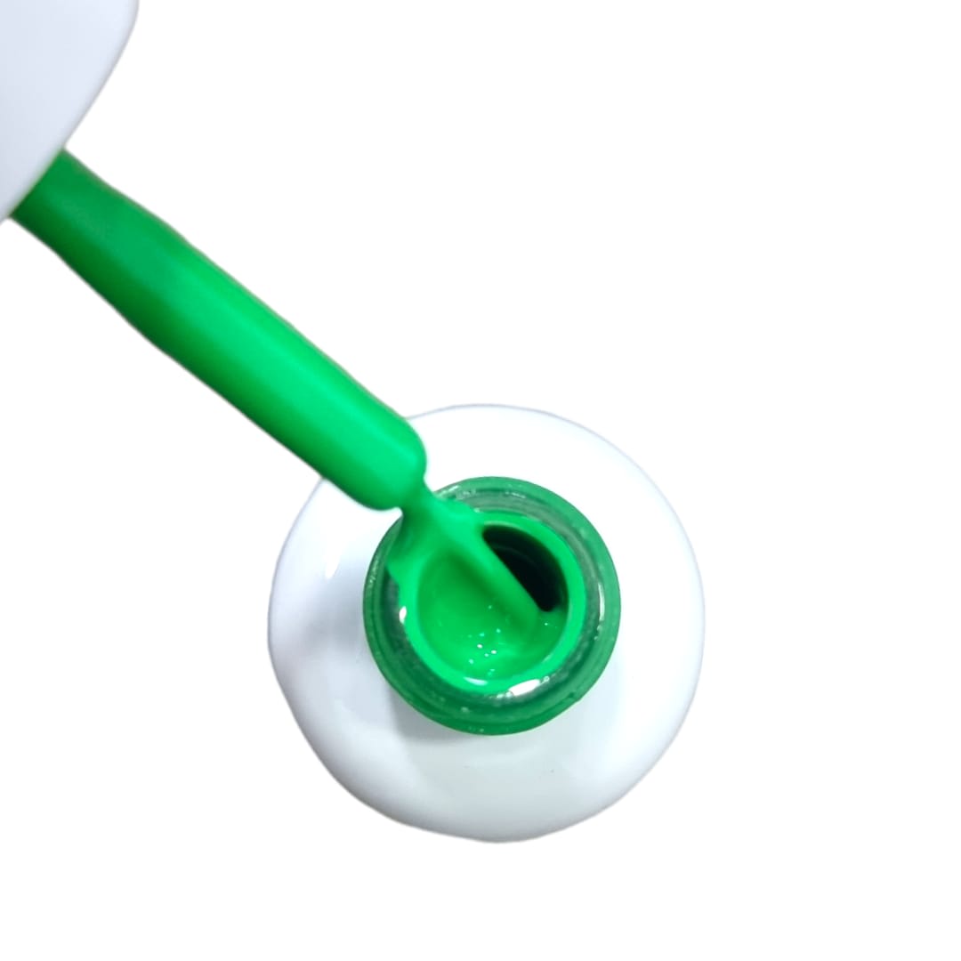 BSNAILS Gel Paint Liner en botella 30 10gr2