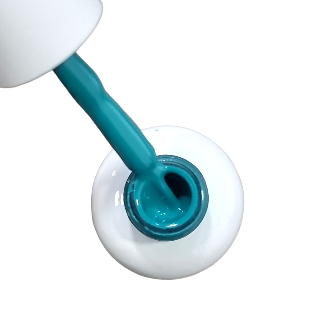 BSNAILS Gel Paint Liner en botella 31 10gr2