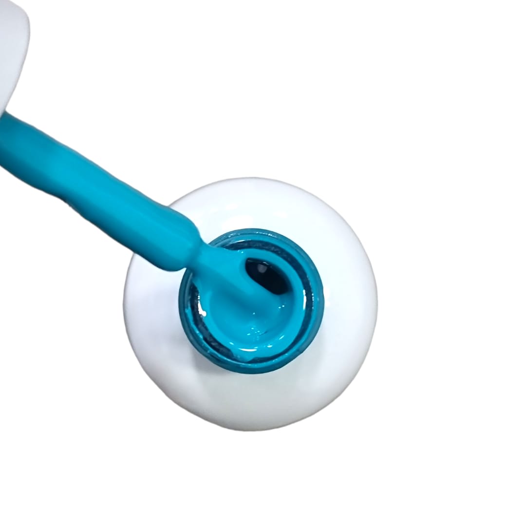 BSNAILS Gel Paint Liner en botella 32 10gr2