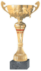 COPA BLAS 11