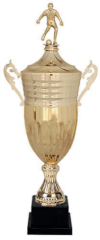 COPA 3208