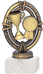 TROFEO 310 FR, COPA