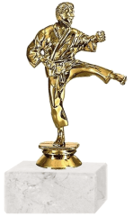 TROFEO 328 FR - KARATE
