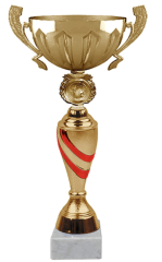 COPA BLAS 4