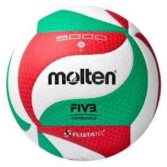 Balon Voleibol Molten V5M 5000