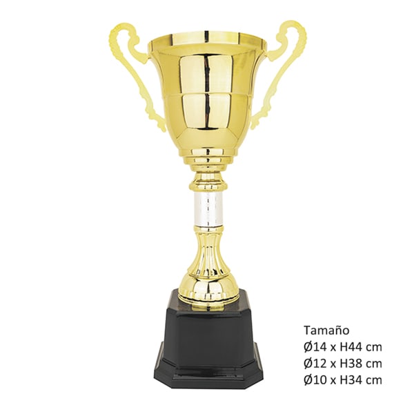 COPA 10501