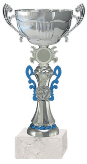 COPA BLAS 12C 8 X 22,5 CMS.1