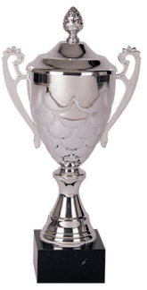 COPA 30121