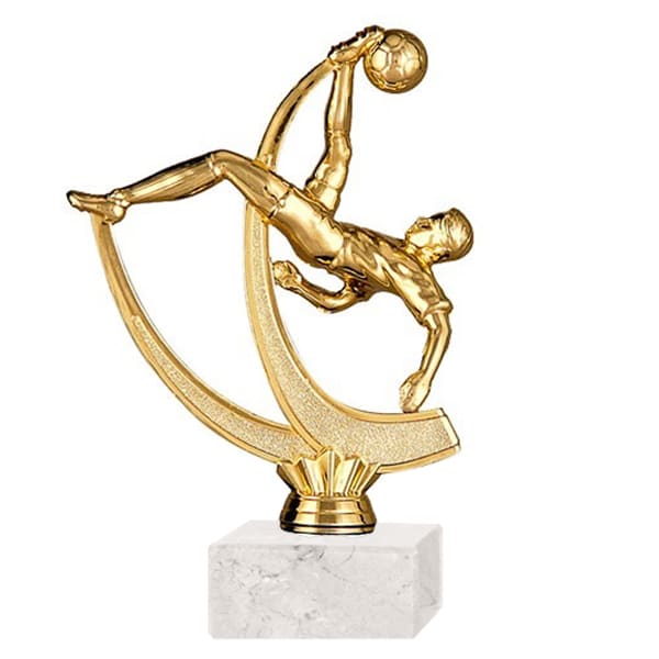 TROFEO 315 FR FÚTBOL CHILENA1