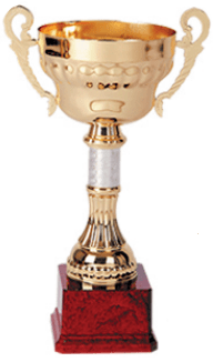 COPA BLAS 866B 14 X 32 CMS.1