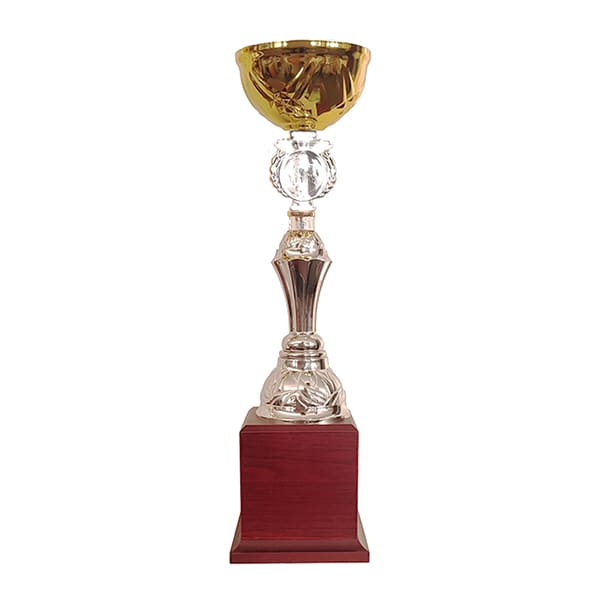 COPA BLAS 302