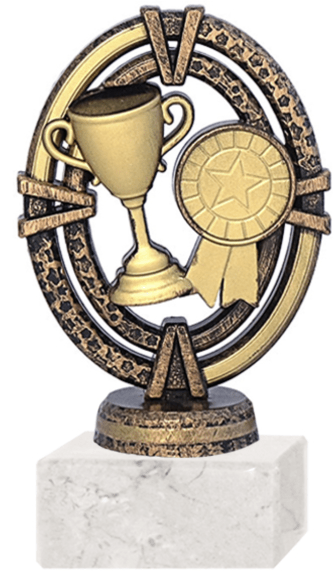 TROFEO 310 FR, COPA1