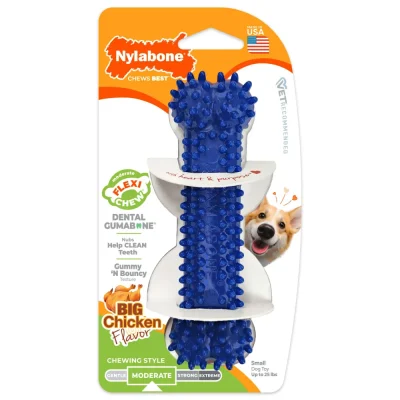 Nylabone Dental Chew Bone, Chicken - Regular1