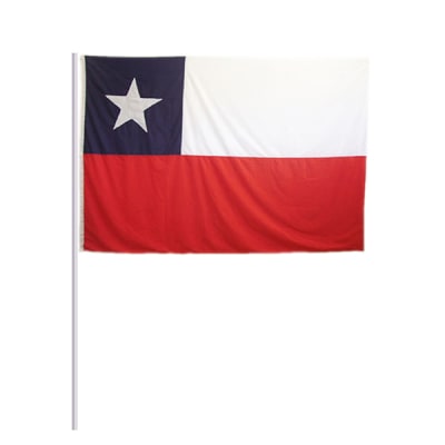 BANDERA  C/PALO GRANDE