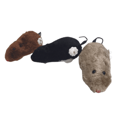 RATON A CUERDA