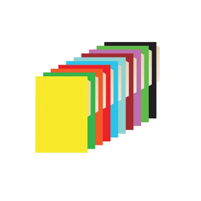 CARPETA CARTON