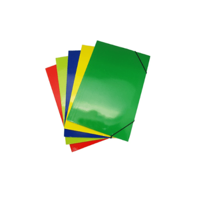 CARPETA C/ELASTICO