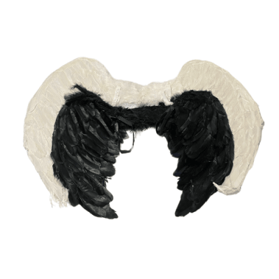 ALAS PLUMAS 60X45
