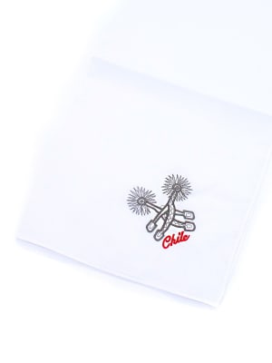 PAÑUELO COMPETENCIA DISEÑO