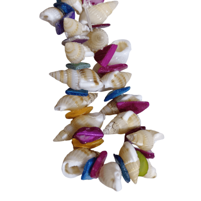 PULSERA CONCHA