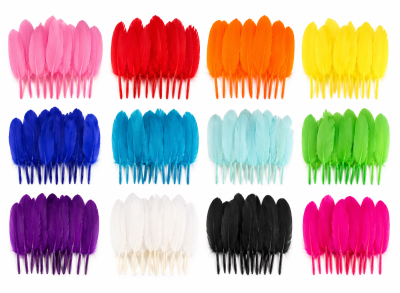 PLUMAS