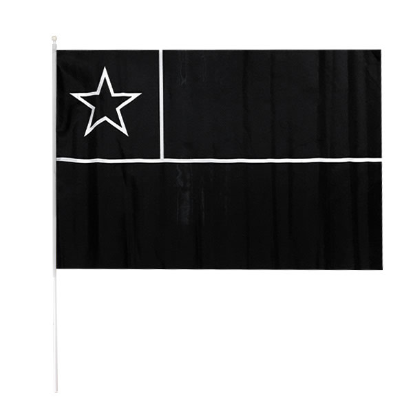 BANDERA  C/PALO GRANDE7