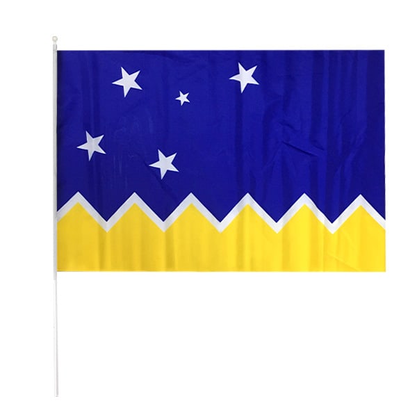 BANDERA  C/PALO GRANDE6