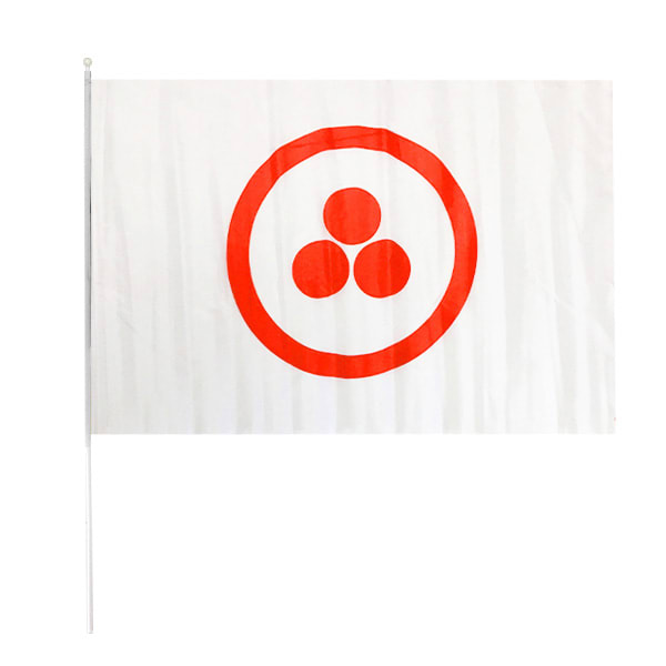 BANDERA  C/PALO GRANDE5