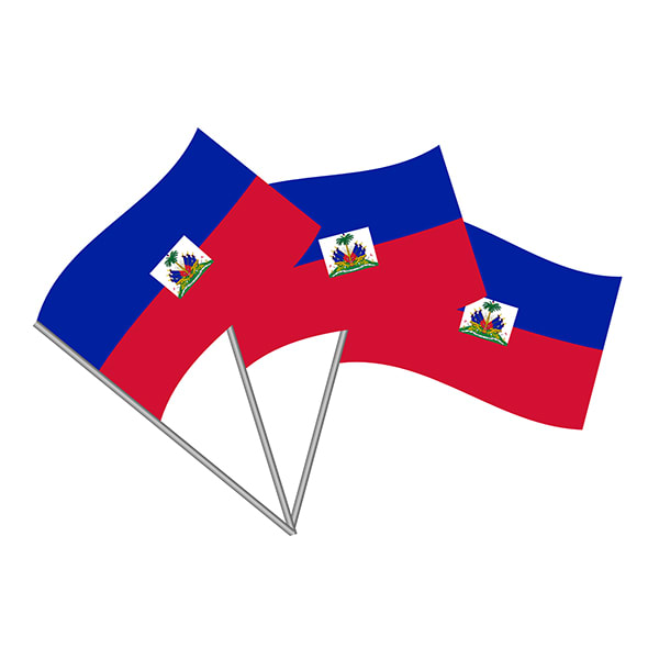 BANDERA  C/PALO GRANDE4