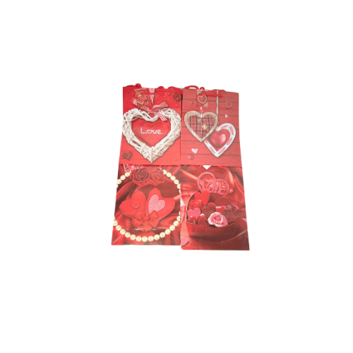 BOLSA DE REGALO CH4