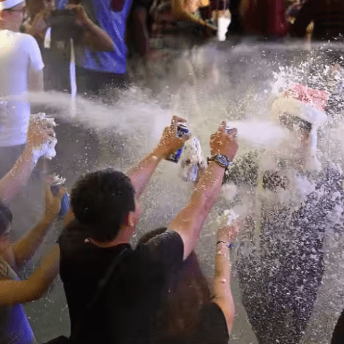 CAJA NIEVE SPRAY X48 PG4