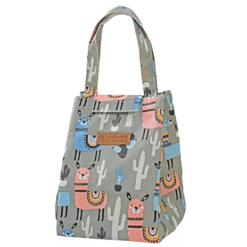LONCHERA CARTERA3