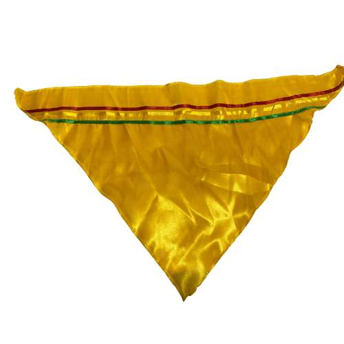 PUNTILLA C/CINTA2