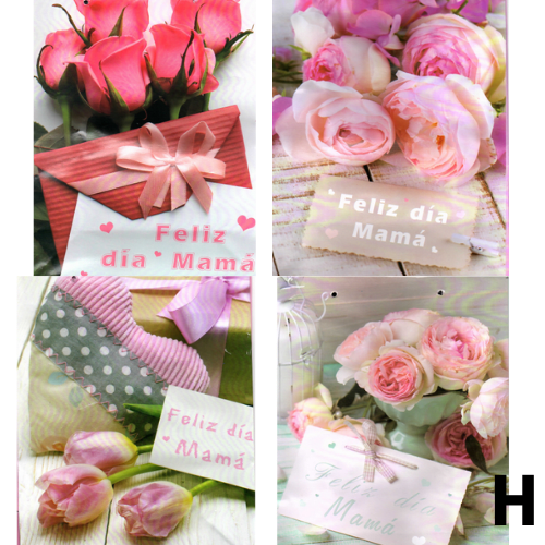 BOLSA DE REGALO MEDIANA 24*18CM8