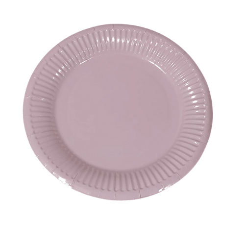 PLATO DE CARTON12