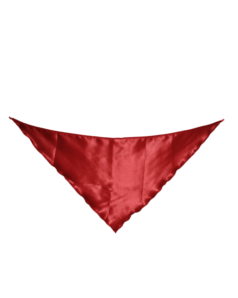 PUNTILLA LISA #2