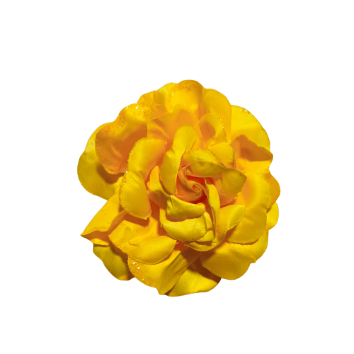 PINCHE FLOR JUMBO 13CM6