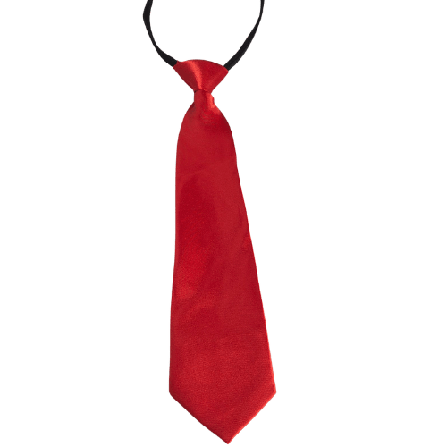 CORBATA COLORES8