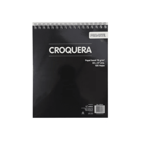 CROQUERA CROQUIS 22X27 100H PROARTE1