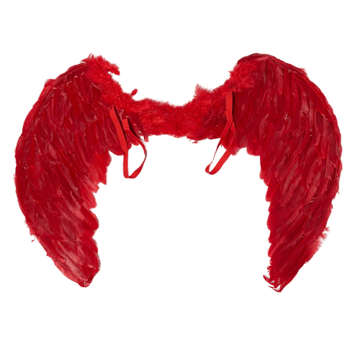 ALAS PLUMA 80X604