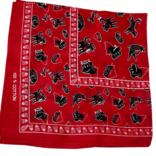 PAÑOLETA PUNKY21