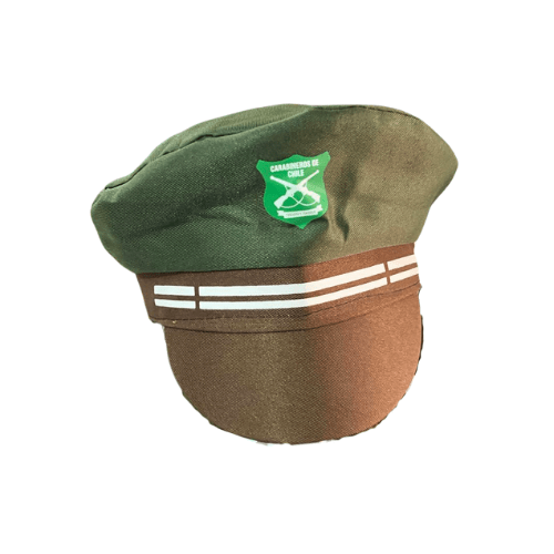 GORRO INSTITUCIONES3