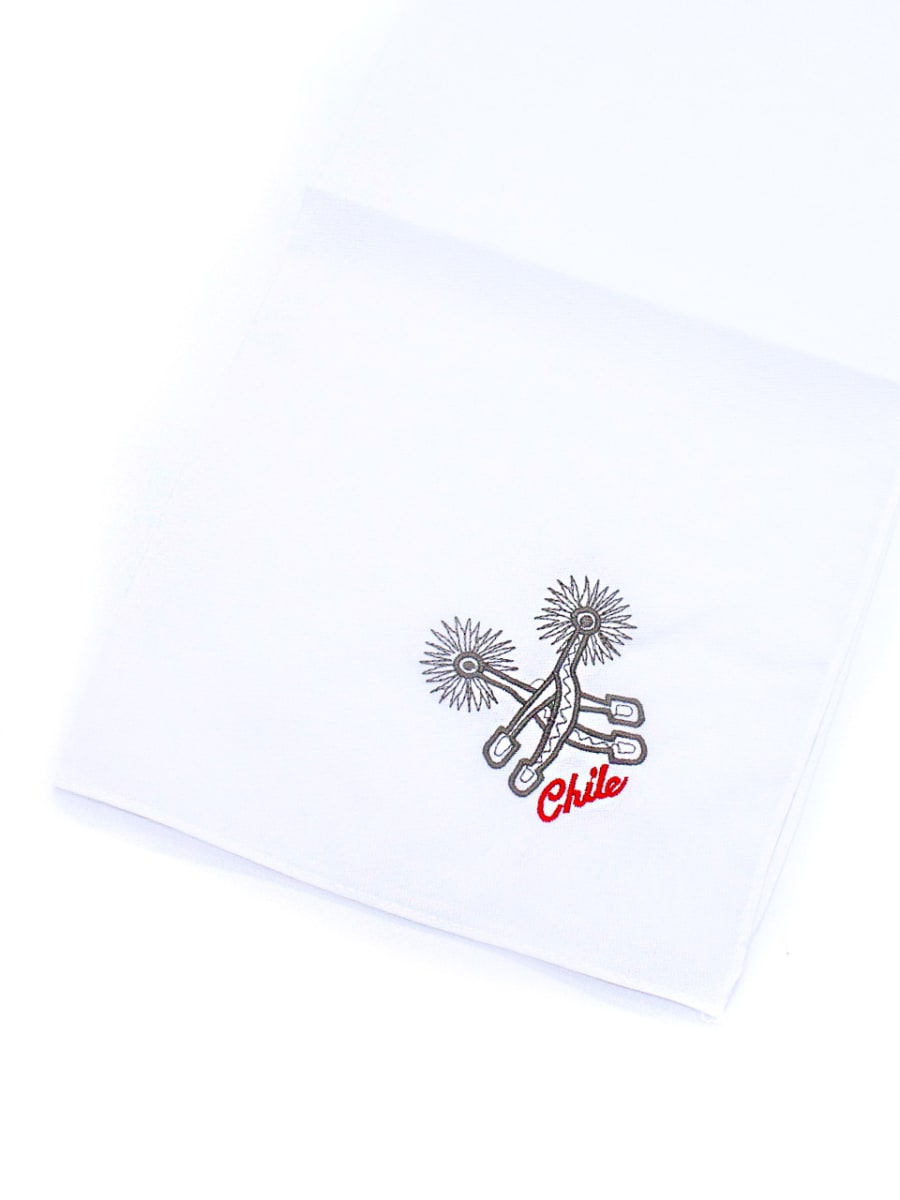 PAÑUELO COMPETENCIA DISEÑO1