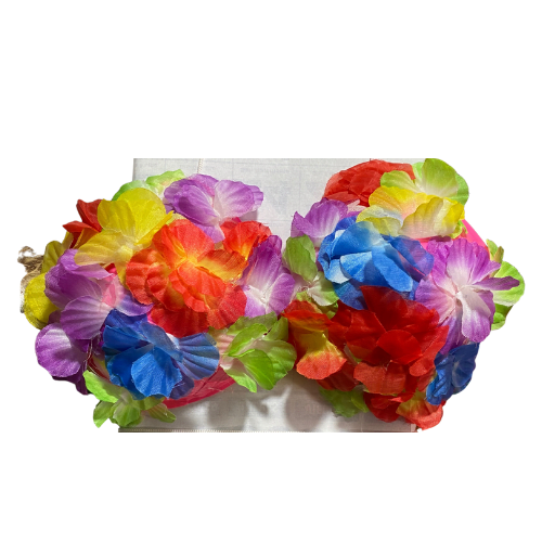 SOSTEN FLOREADO NIÑA1